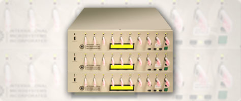 Duplication